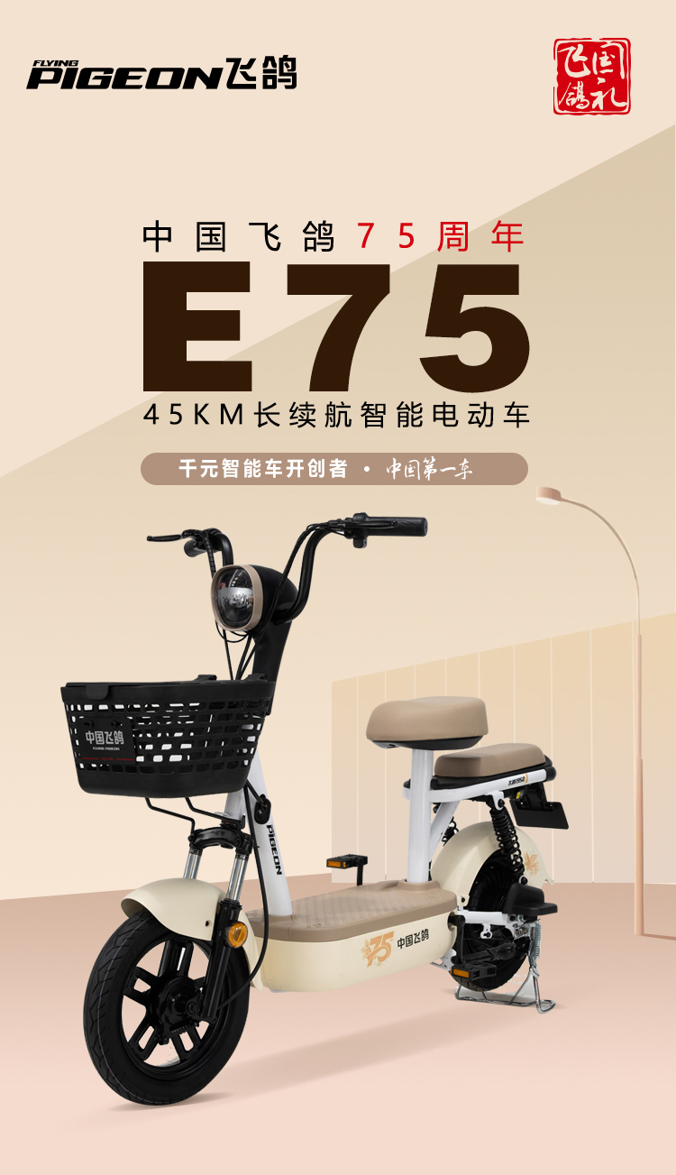 飞鸽E75京东